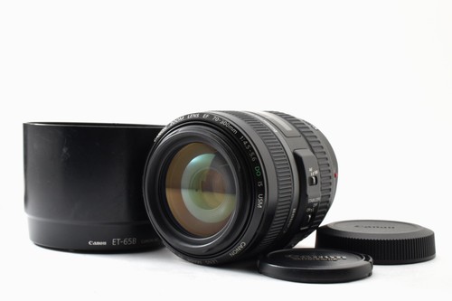 Canon 300 4 5 - canon, mm