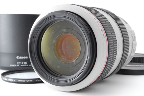 Canon 300mm 5 6 - f/4-5.6, l