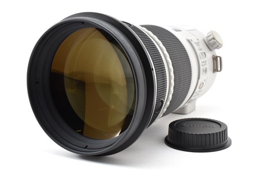 Canon 300 8 l - f/2.8, ii