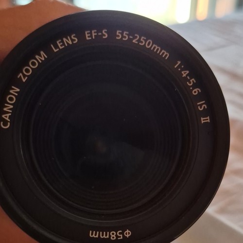Canon 250mm 4 5 6 - 55-250mm, is