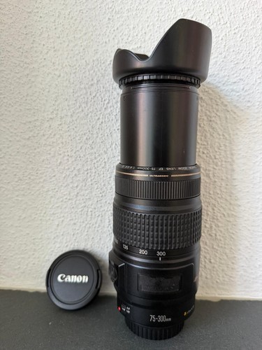 Canon 300 4 5 - canon, f/4-5.6
